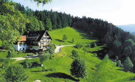 Md Waldhotel Palmspring Bad Peterstal-Griesbach Exterior photo