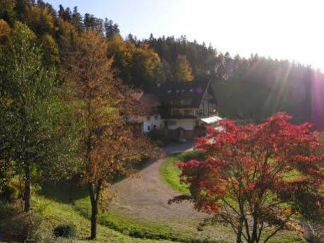 Md Waldhotel Palmspring Bad Peterstal-Griesbach Exterior photo