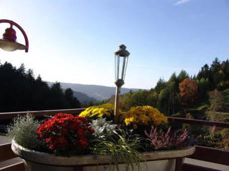 Md Waldhotel Palmspring Bad Peterstal-Griesbach Exterior photo
